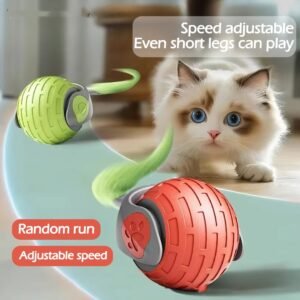 Interactive Cat Toys Ball